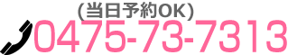 TEL:0475-73-7313